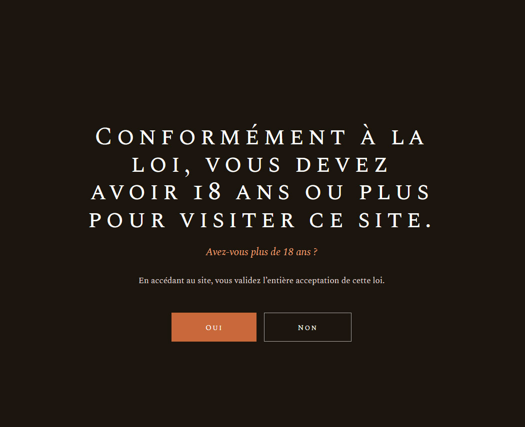 Site Web Champagne Boutillier-Poissinet