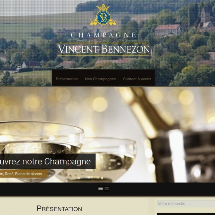 Site internet Vincent Bennezon