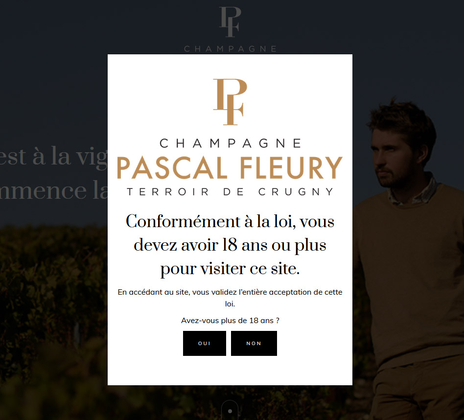 Site web Champagne Pascal Fleury