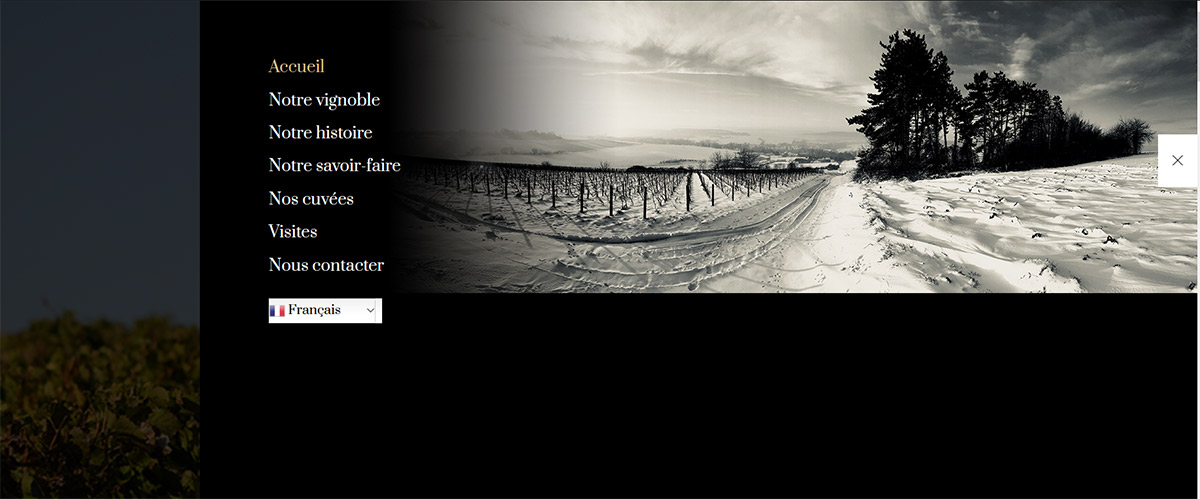 Site web Champagne Pascal Fleury