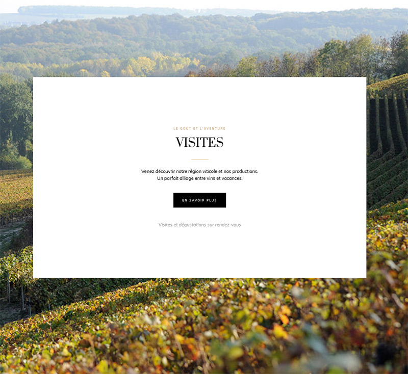 Site web Champagne Pascal Fleury