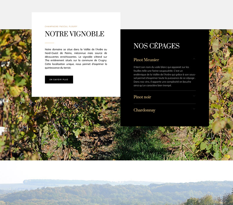 Site web Champagne Pascal Fleury