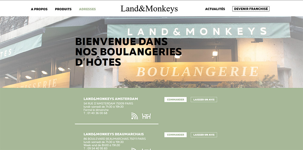 Site web Land and Monkeys