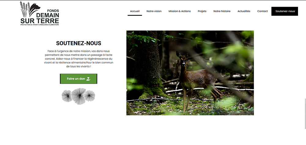 Site Web fonds Demain sur Terre